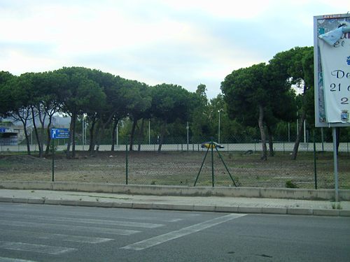 Ha desaparescut la barrera natural que formaven els pins i des de l'avinguda Europa es veu perfectament l'autovia de Castelldefels a l'al&ccedil;ada de Gav&agrave; Mar