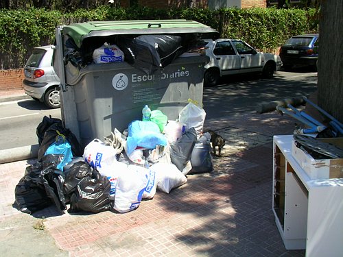 El contenidor situat al Carrer Calafell per donar servei a PINE BEACH no d&oacute;na abast