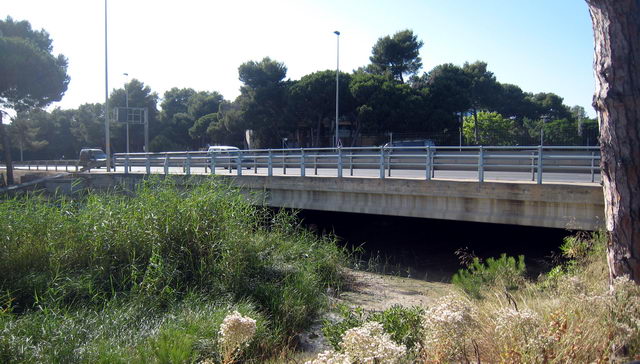 Pont de poca alçada de l'autovia de Castelldefels (C-31) sobre la Riera dels Canyars a Gavà Mar (17 de Juny de 2009)