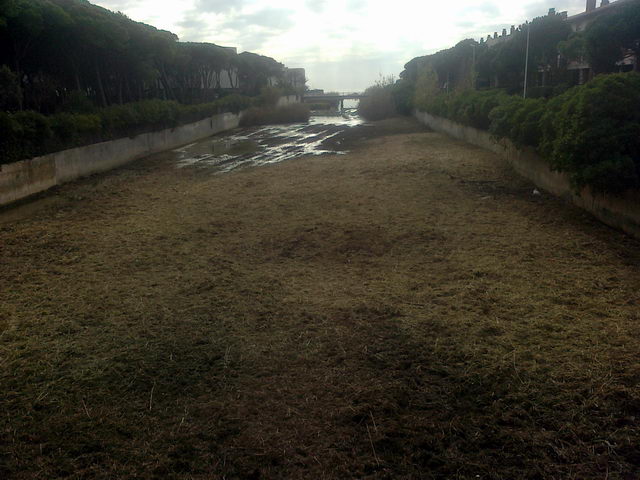 Riera dels Canyars de Gav� Mar vista des del pont de l'avinguda d'Europa despr�s d'una neteja a fons que ha arrasat amb pr�cticament tota la vegetaci� (12 de Desembre de 2009)
