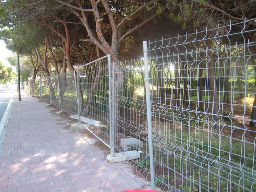 Pineda situada al carrer Cunit de Gav� Mar no urbanitzada tancada, per� no podada ni netejada (Finals de l'any 2007)