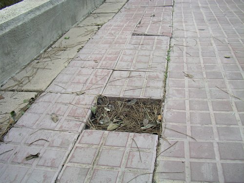 Vorera aixecada al carrer Tellinaires de Gav� Mar (Central Mar)
