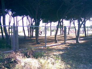 Tanca de la parcel&middot;la municipal situada al costat del parc infantil de Central Mar on falten moltes fustes perqu&egrave; van ser cremades en les fogueres de Sant Joan a Gav&agrave; Mar per inc&iacute;vics (4 de Juliol de 2008)