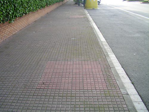 Arbres cimentats al carrer Premi&agrave; de Gav&agrave; Mar