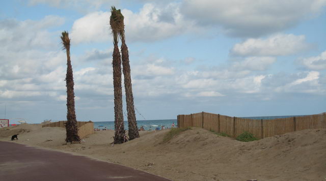 Obres de construcci&oacute; del nou tram del passeig mar&iacute;tim de Gav&agrave; Mar entre els carrers Palafrugell i Salou (23 d'Agost de 2008)