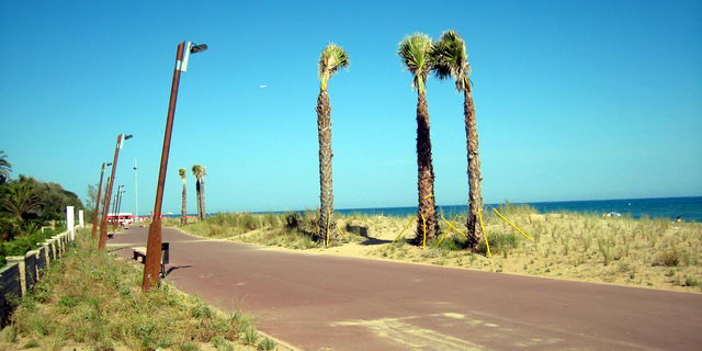 Nou tram del passeig mar�tim de Gav� Mar amb les plantes de les dunes sense fixacions despr�s d'una actuaci� de l'Ajuntament de Gav� (17 de Juny de 2009)