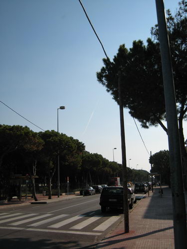 Pals i cables de tel&egrave;fon a l'avinguda Europa de Gav&agrave; Mar (17 d'Abril de 2009)