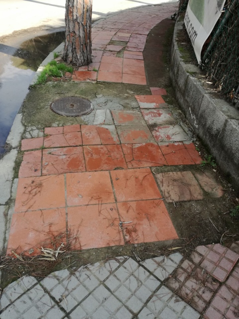 Vorera en estat lamentable a l'encreuament de l'Avinguda d'Europa i el carrer d'Arenys de Gav&agrave; Mar (20 de Febrer de 2018)