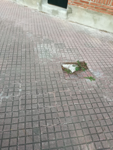 Vorera on falten rajoles al carrer d'Arenys de Gav&agrave; Mar (20 de Febrer de 2018)