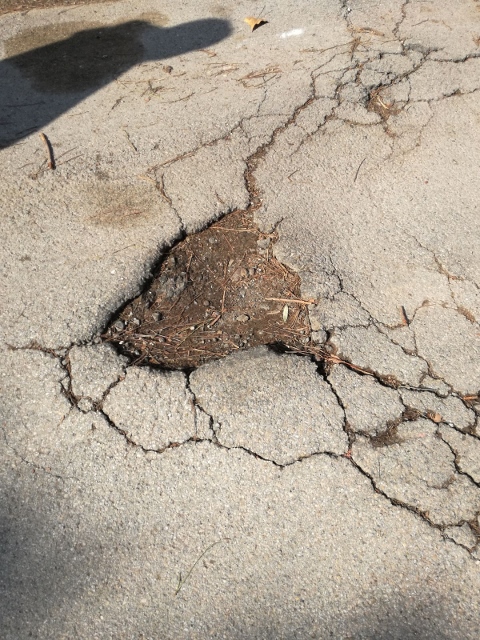 Forat en l'asfalt del carrer d'Arenys de Gav&agrave; Mar (20 de Febrer de 2018)