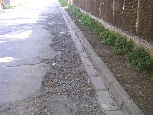 Estat lamentable del carrer Tellinaires de Gav&agrave; Mar a l'al&ccedil;ada de Llevant Mar