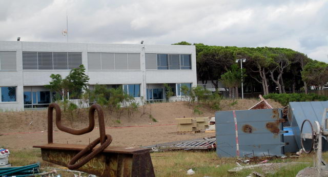 Plantes plantades a la parcel�la del CEIP Gav� Mar (23 d'Agost de 2008)