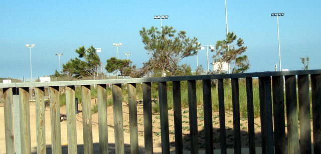 Pins plantats a la parcel�la del CEIP Gav� Mar (15 de Maig de 2009)