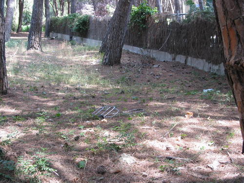 Brut&iacute;cia a la pineda del nord de l'autovia de Castelldefels (C-31) a Gav&agrave; Mar (Juliol 2007)