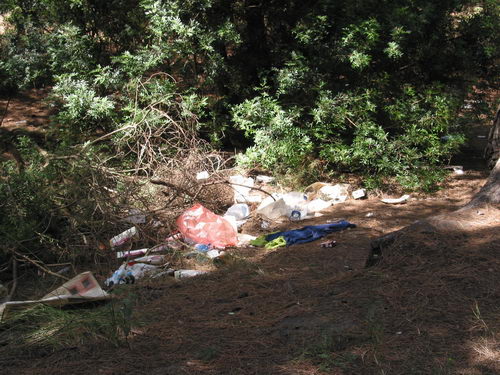Brut&iacute;cia a la pineda del nord de l'autovia de Castelldefels (C-31) a Gav&agrave; Mar (Juliol 2007)