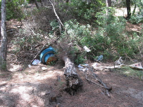 Brut&iacute;cia a la pineda del nord de l'autovia de Castelldefels (C-31) a Gav&agrave; Mar (Juliol 2007)