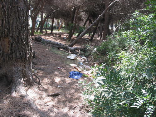 Brut&iacute;cia a la pineda del nord de l'autovia de Castelldefels (C-31) a Gav&agrave; Mar (Juliol 2007)