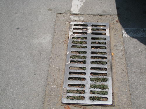 Embornal del carrer Cadaqu&eacute;s (quasi tocant amb el carrer Tellinaires) totalment taponat (Agost de 2007)