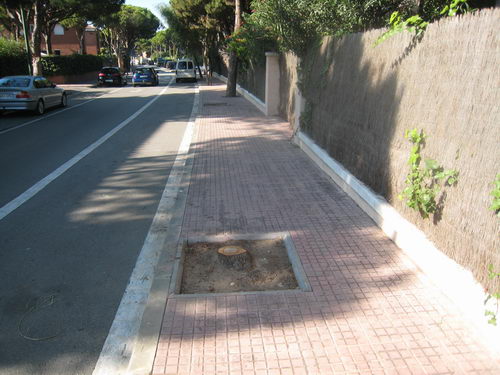 Imatge del carrer Cunit de Gav&agrave; Mar (entre l'avinguda del mar i el carrer Garraf) on es pot apreciar com falten dos arbres seguits (novembre de 2007)
