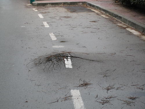 Asfalt del carrer Calafell de Gav&agrave; Mar aixecat per les arrels dels arbres (26 de desembre de 2007)