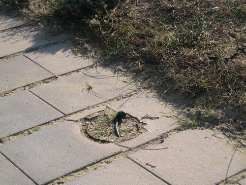 Punt del passeig mar&iacute;tim de Gav&agrave; Mar on s'ha eliminat una balissa BJC i no ha sigut reposada (Desembre de 2007)