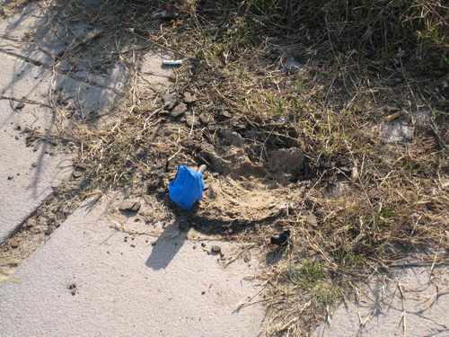 Punt del passeig mar&iacute;tim de Gav&agrave; Mar on s'ha eliminat una balissa BJC i no ha sigut reposada (Desembre de 2007)