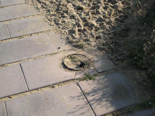 Punt del passeig mar&iacute;tim de Gav&agrave; Mar on s'ha eliminat una balissa BJC i no ha sigut reposada (Desembre de 2007)