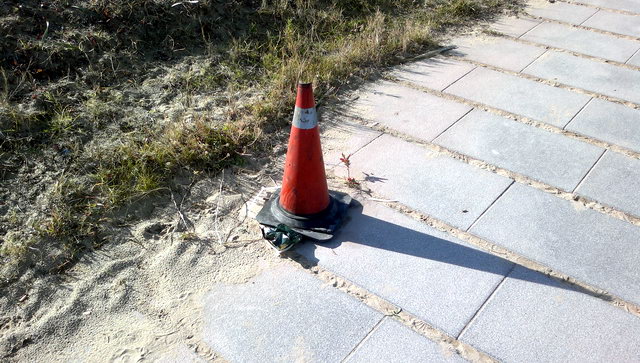 Balissa eliminada del passeig mar�tim antic de Gav� Mar despr�s d'una bretolada (21 de Gener de 2012)