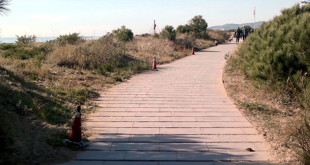 3 Balisses eliminades del passeig mar�tim antic de Gav� Mar despr�s d'una bretolada (21 de Gener de 2012)