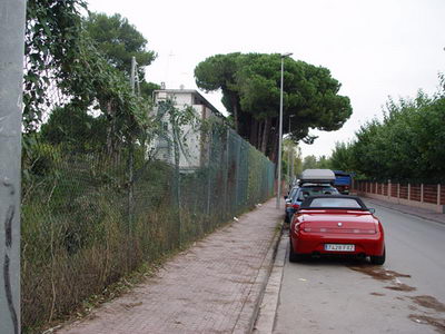 Ja s'ha retirat l'arbre caigut que complicava el pas als vianants al Cam&iacute; de la Pava de Gav&agrave; Mar (4 de Novembre de 2008)