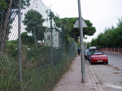 Ja s'ha retirat l'arbre caigut que complicava el pas als vianants al Cam&iacute; de la Pava de Gav&agrave; Mar (4 de Novembre de 2008)