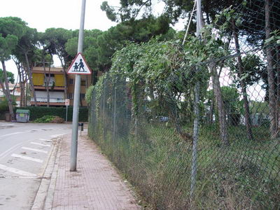 Ja s'ha retirat l'arbre caigut que complicava el pas als vianants al Cam&iacute; de la Pava de Gav&agrave; Mar (4 de Novembre de 2008)