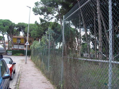Ja s'ha retirat l'arbre caigut que complicava el pas als vianants al Cam&iacute; de la Pava de Gav&agrave; Mar (4 de Novembre de 2008)