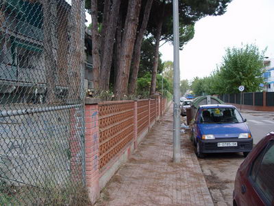 Plantes que envaien l'espai dels vianants podades al Cam&iacute; de la Pava de Gav&agrave; Mar (4 de novembre de 2008)