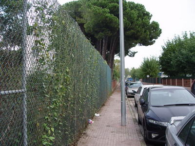 Plantes que envaien l'espai dels vianants podades al Cam&iacute; de la Pava de Gav&agrave; Mar (4 de novembre de 2008)
