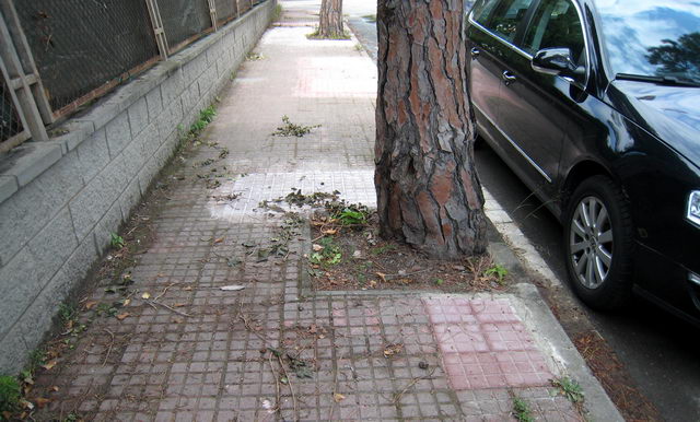 Vorera arranjada per l'Ajuntament de Gav� al carrer de la Ciutat del Rep�s de Gav� Mar (20 de Juny de 2009)