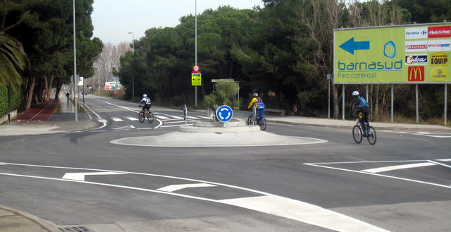 Nova palmera platanda en la petita rotonda ubicada a l'encreuament de l'avinguda del mar amb el Cam� de la Pineda de Gav� Mar en substituci� de la que va ser destrossada en un accident de tr�nsit el gener de 2009 (23 de Gener de 2010)