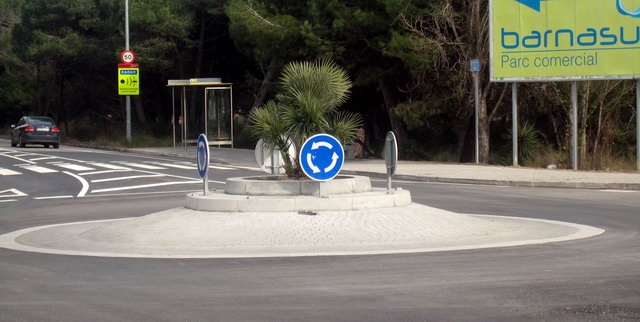 Nova palmera platanda en la petita rotonda ubicada a l'encreuament de l'avinguda del mar amb el Cam� de la Pineda de Gav� Mar en substituci� de la que va ser destrossada en un accident de tr�nsit el gener de 2009 (23 de Gener de 2010)