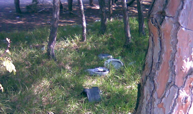Brut�cia a la pineda contigua a la Torre Gav� de Gav� Mar (9 d'Abril de 2009)