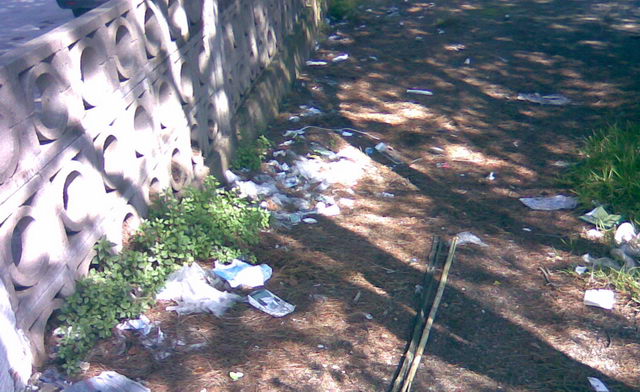 Brut�cia a la pineda contigua a la Torre Gav� de Gav� Mar (9 d'Abril de 2009)