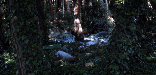 Suciedad en la pineda contigua a la Torre Gav� de Gav� Mar (17 de Junio de 2009)