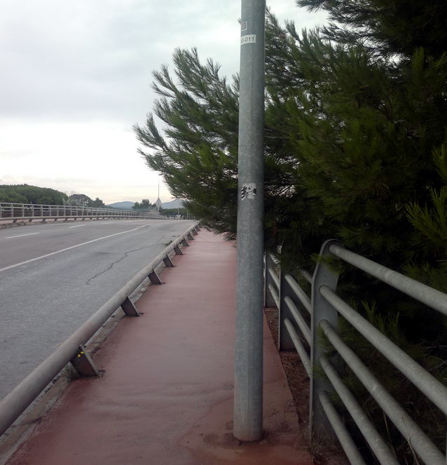 Rama de un pino que impide el correcto paso de los peatones en el puente de la avenida del mar sobre la autov�a C-31 (11 de Octubre de 2012)