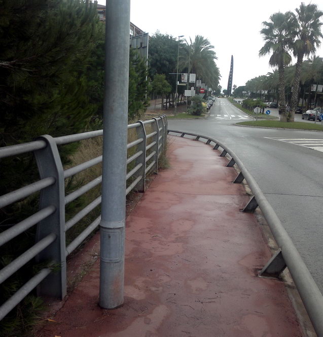 Rama podada de un pino que imped�a el correcto paso de los peatones en el puente de la avenida del mar sobre la autov�a C-31 (25 de Octubre de 2012)