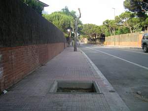 Parece ser qe volver&aacute; a haber un &aacute;rbol