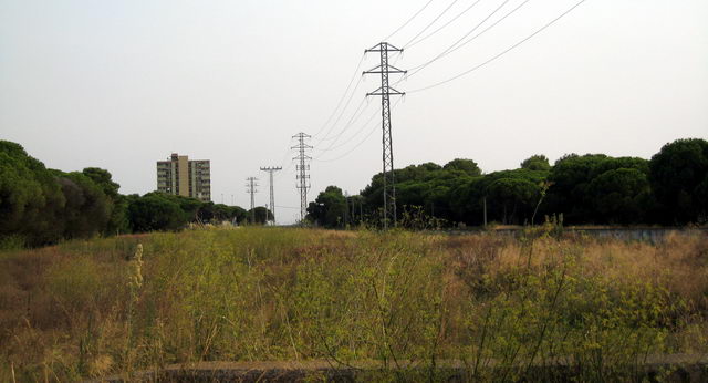 Imagen de la Riera dels Canyars desde el lado monta�a de la autov�a de Castelldefels (C-31), al fondo, el edificio Torre Gav� de Pine Beach (Gav� Mar) (10 de Septiembre de 2008)