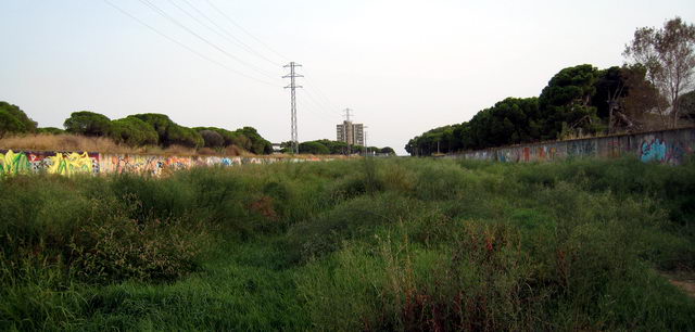 Imagen de la Riera dels Canyars desde el lado monta�a de la autov�a de Castelldefels (C-31), al fondo, el edificio Torre Gav� de Pine Beach (Gav� Mar) (10 de Septiembre de 2008)