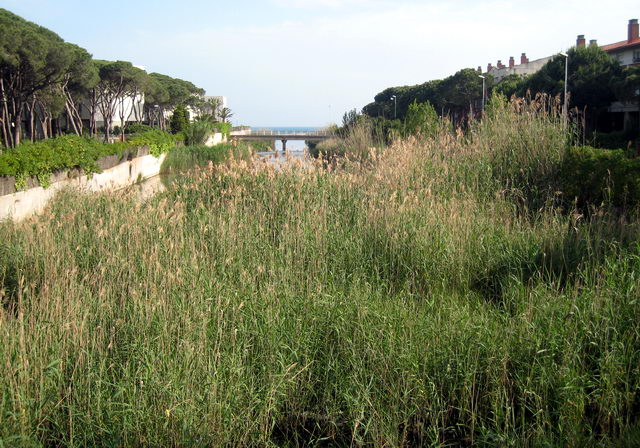 Imagen de la riera dels Canyars de Gav&agrave; Mar desde la avenida de Europa (24 de Mayo de 2009)