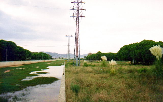Imagen de la Riera dels Canyars desde el lado monta�a de la autov�a de Castelldefels (C-31) (Fotograf�a: Josep Campmany)